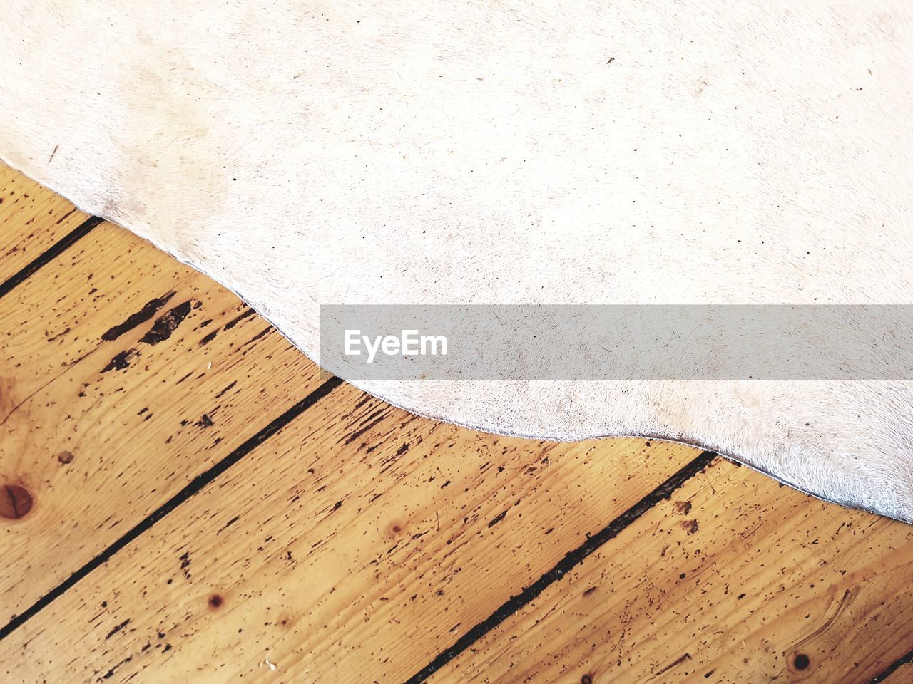 HIGH ANGLE VIEW OF PAPER ON FLOOR