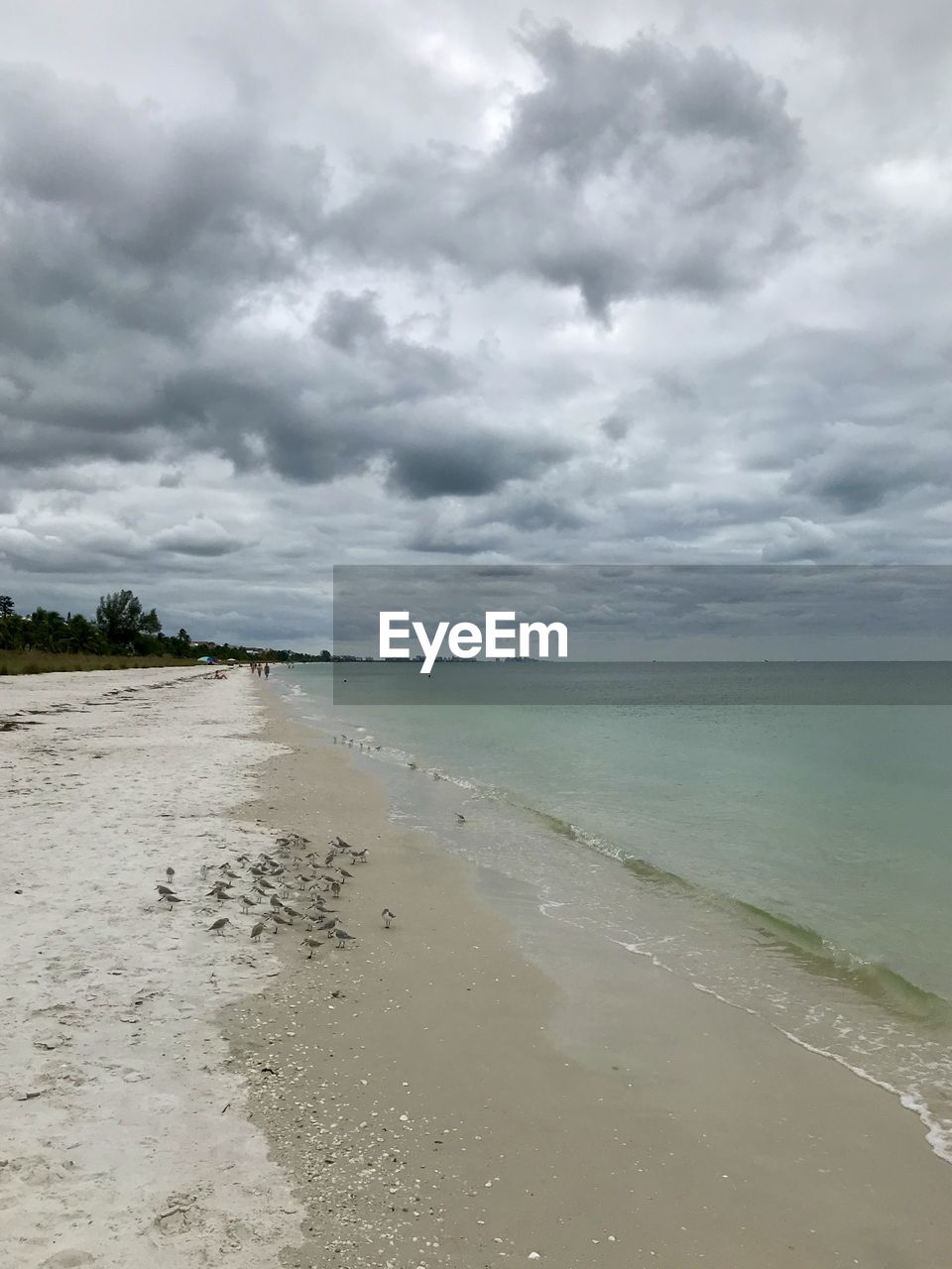 SCENIC VIEW OF SANDY BEACH AGAINST SKY