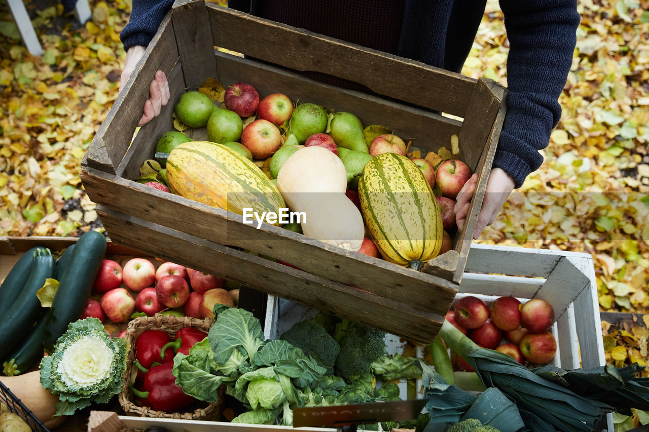 High angle view of man standing with vegetables basket in back yard