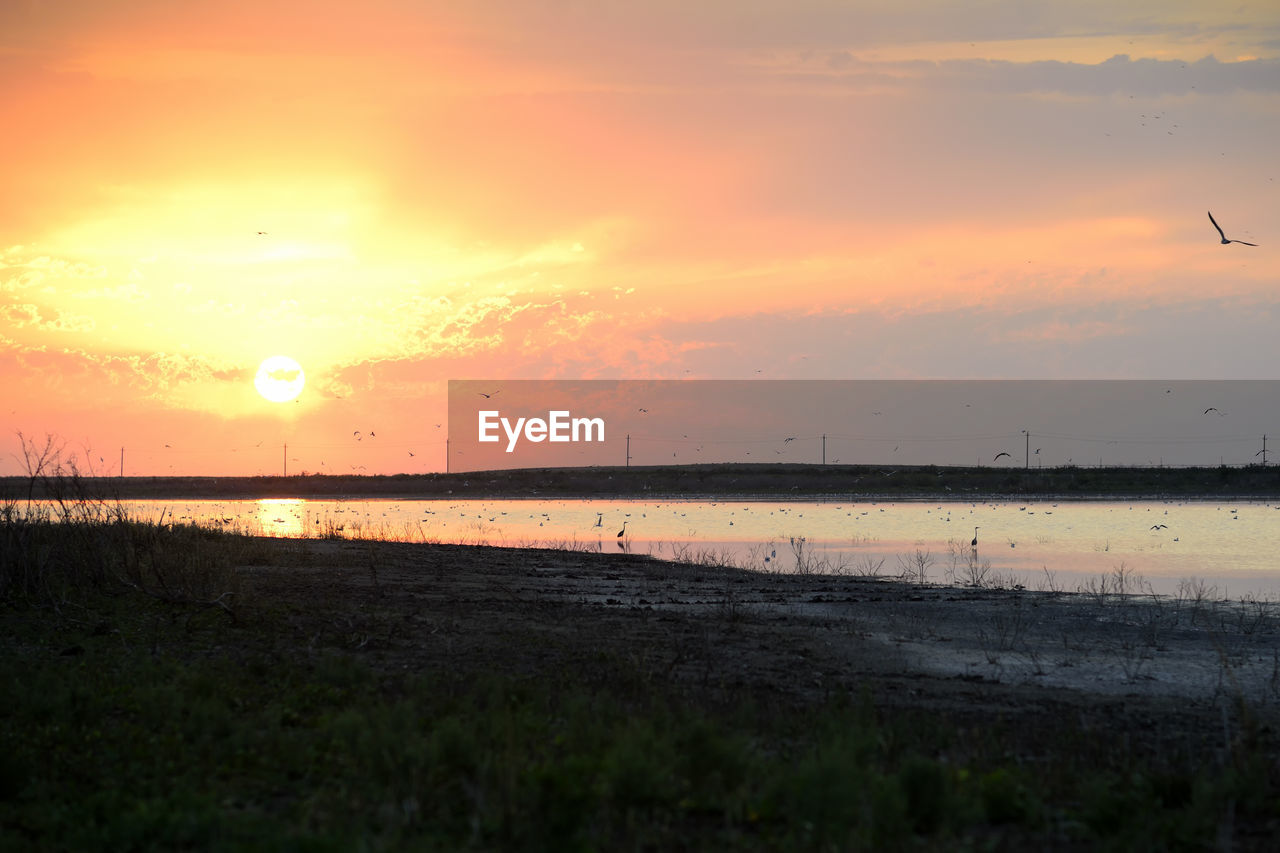 SCENIC VIEW OF SEA DURING SUNSET