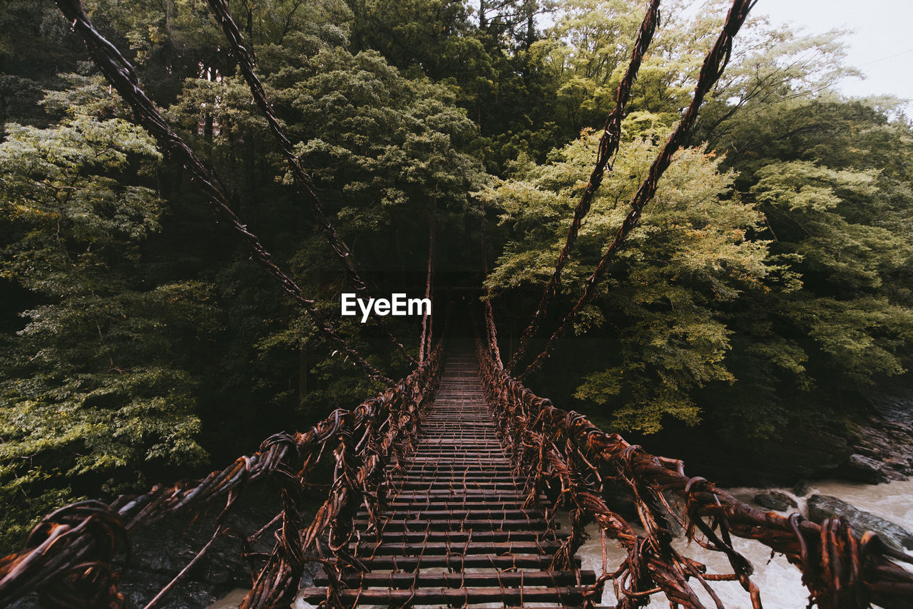 Footbridge over river in forest