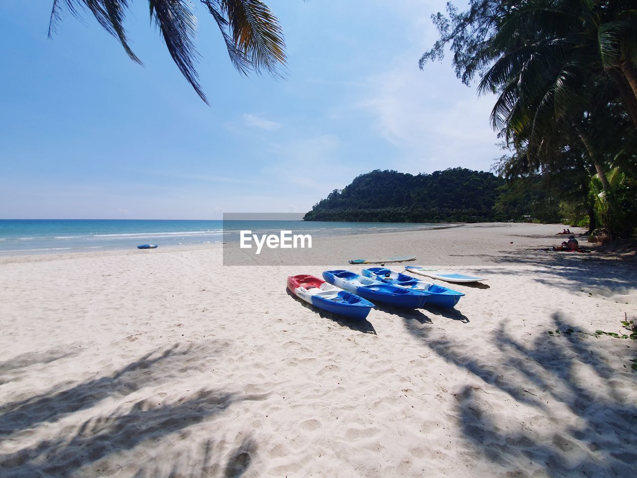 SCENIC VIEW OF BEACH