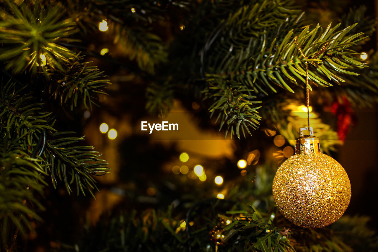 Close-up of bauble hanging on christmas tree