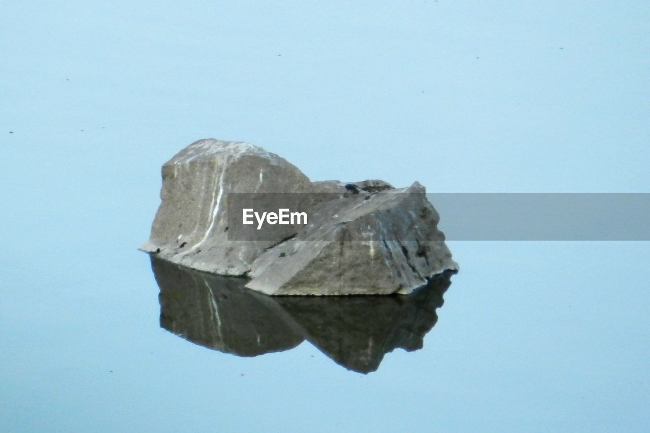 CLOSE-UP OF REFLECTION OF WATER ON LEAF