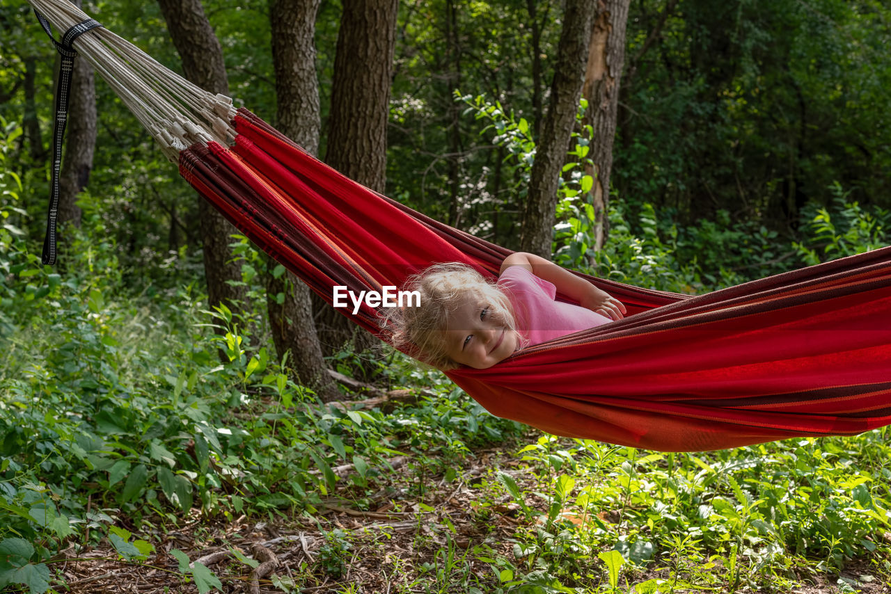 Portrait of cute relaxing in hammock against trees