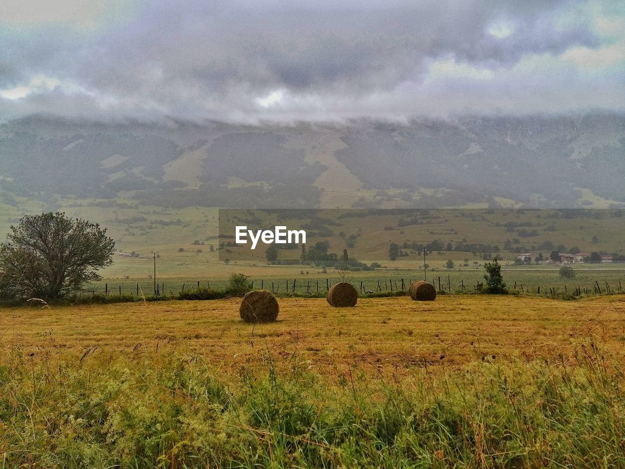 Scenic view of field against cloudy sky