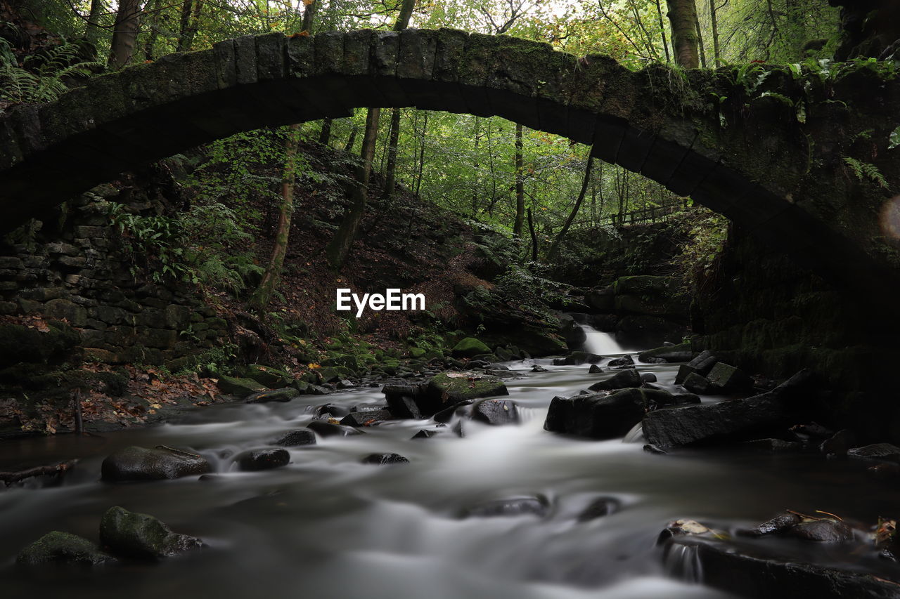 RIVER FLOWING IN FOREST