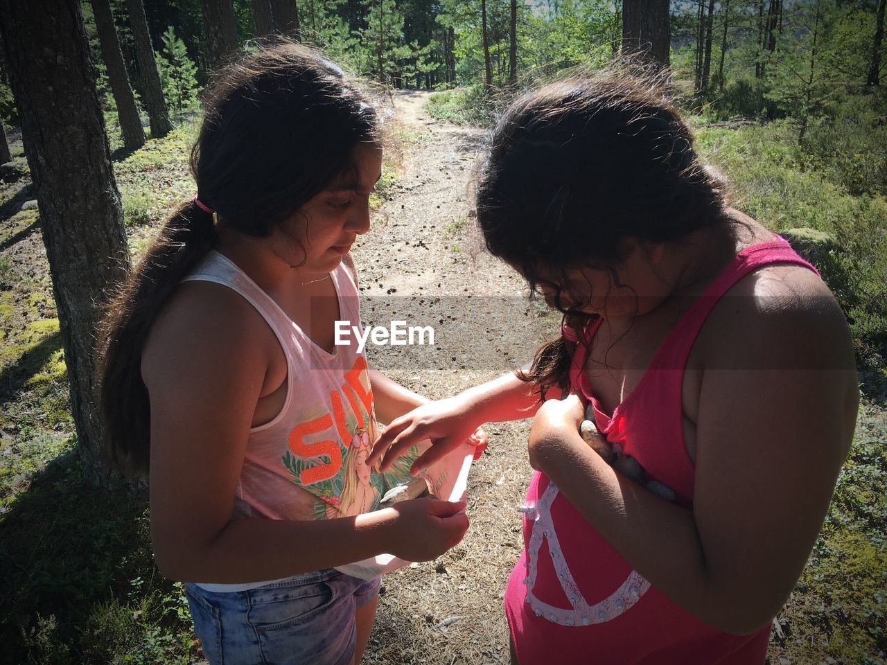 Side view of female friends holding stones while standing in forest