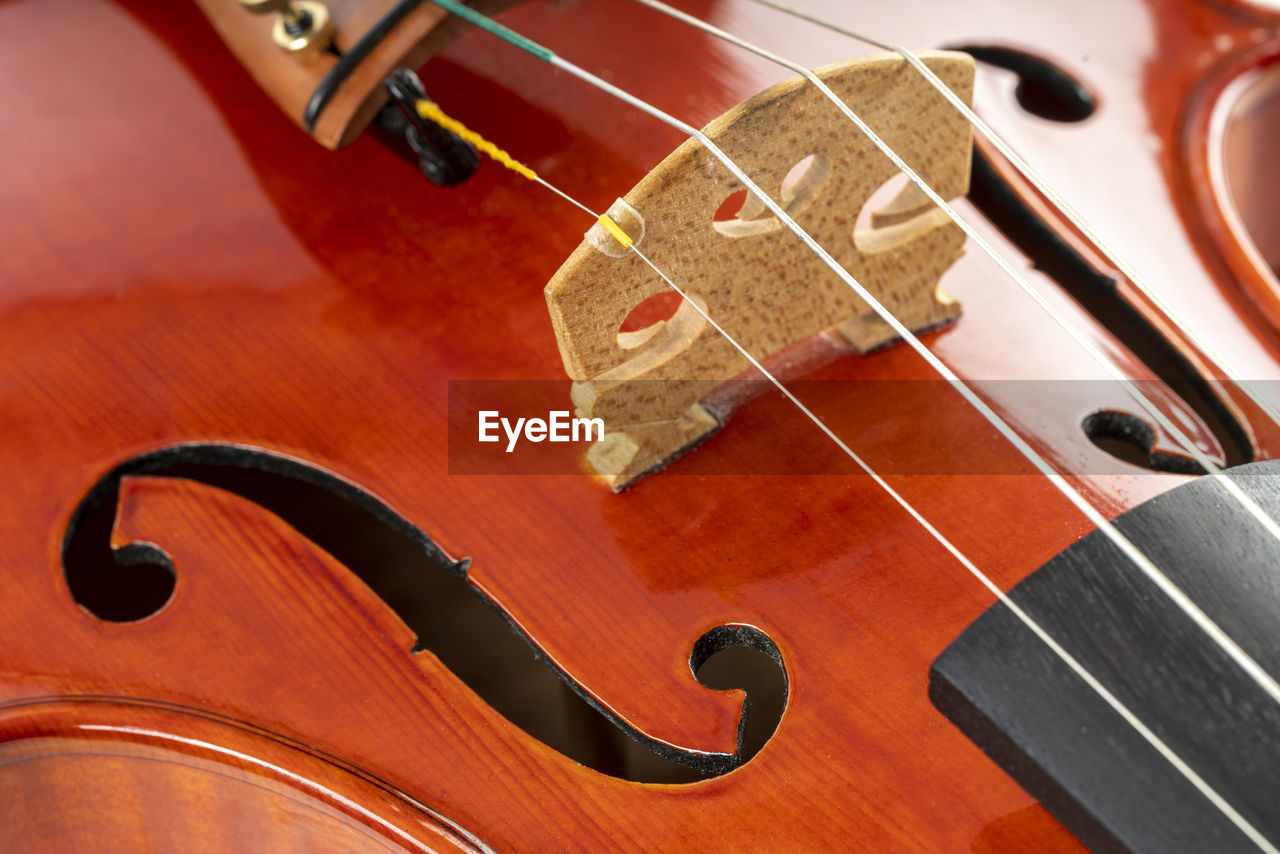 A close up of the body of a violin