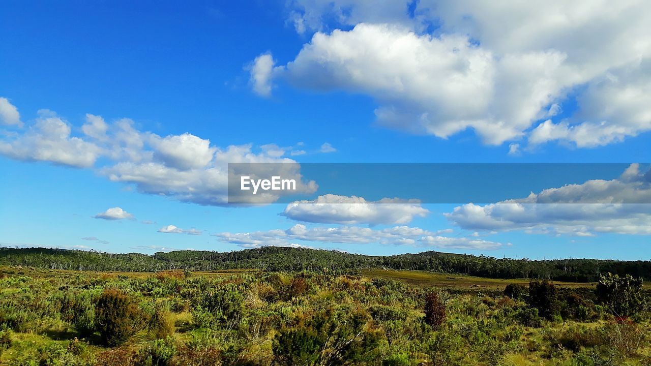 SCENIC VIEW OF LAND AGAINST SKY