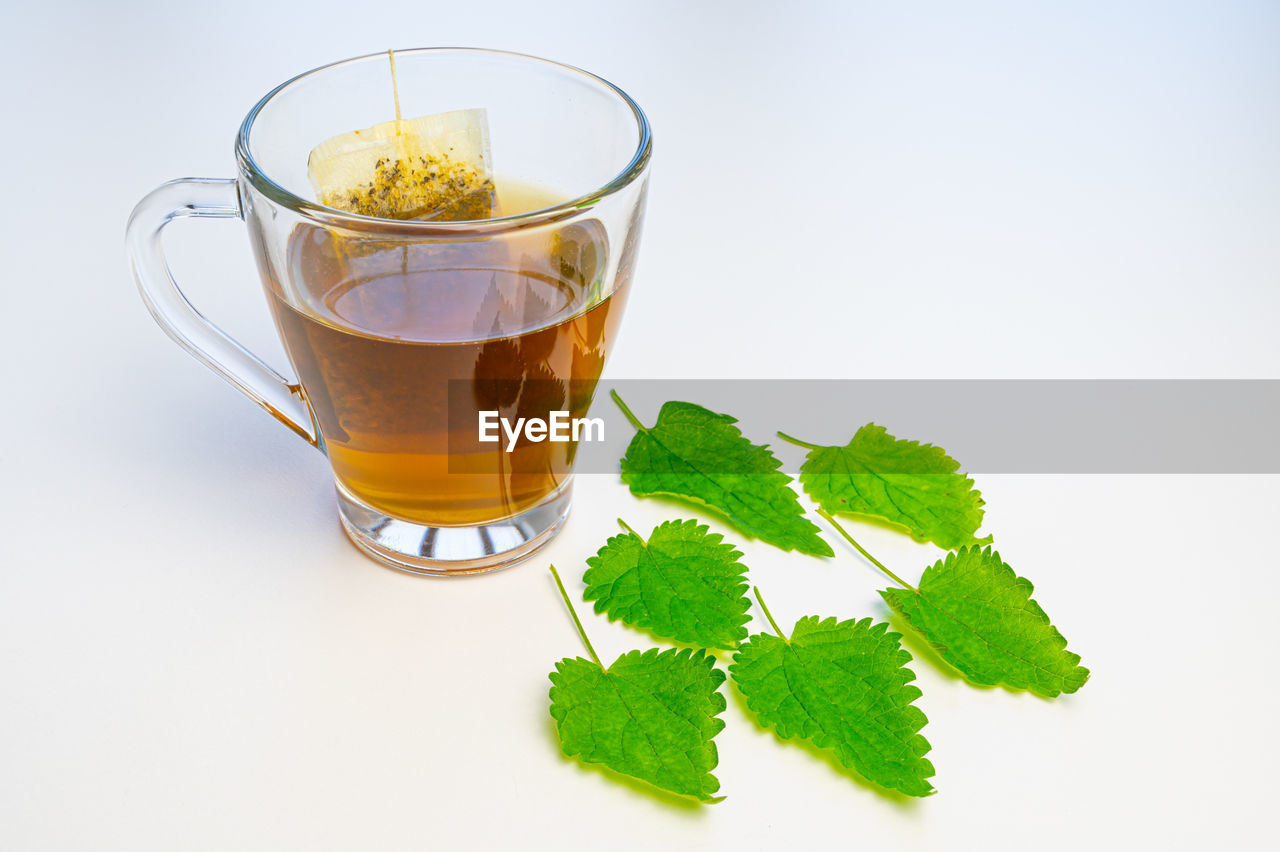 Nettle infusion in transparent cup, a sachet in water, a white saucer  and nettle leaves. 