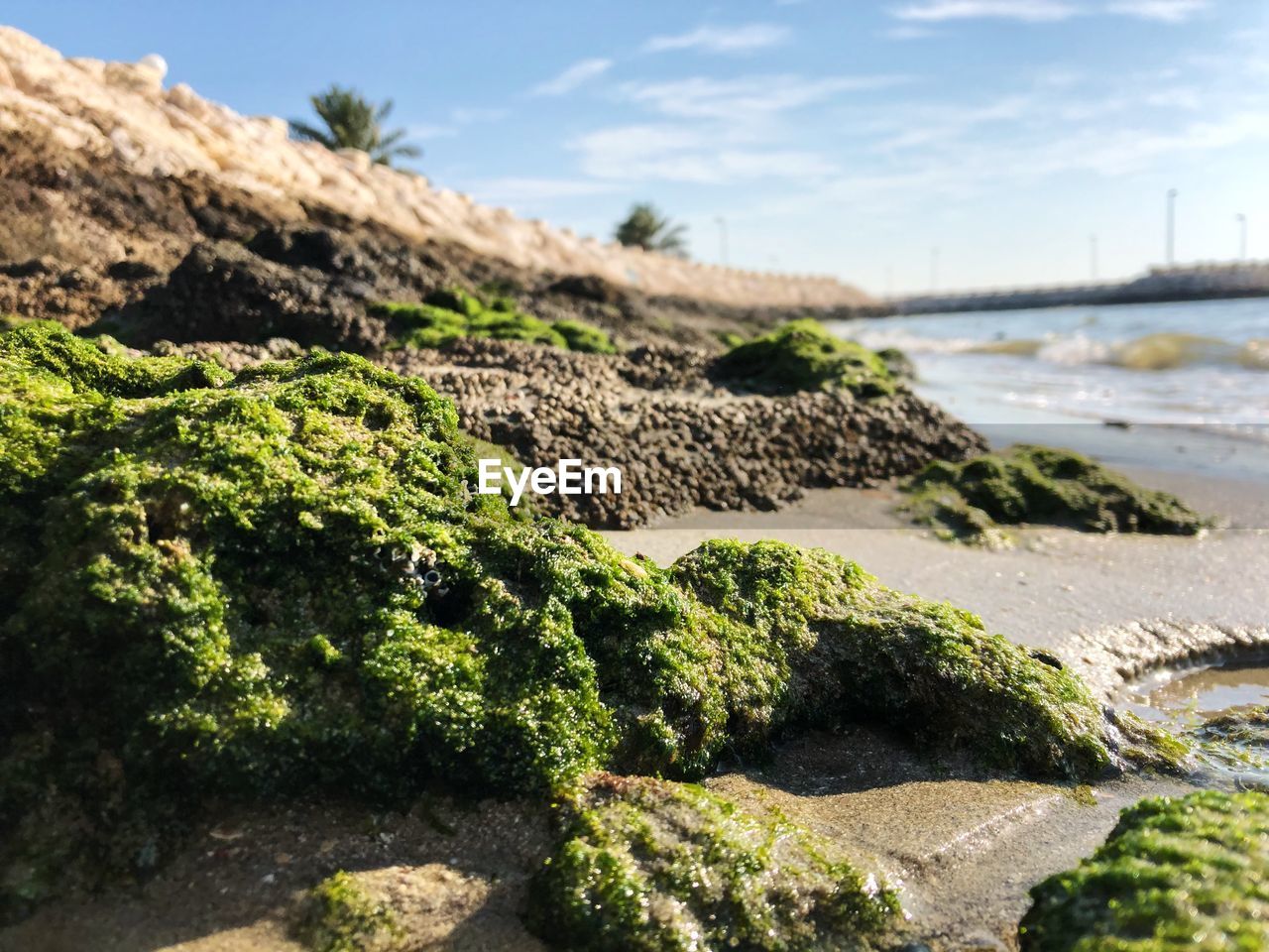Scenic view of rocky beach against sky