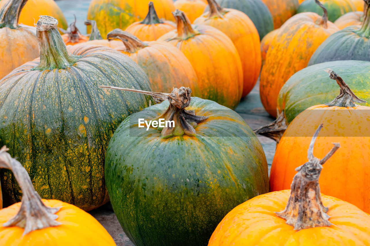 CLOSE-UP OF PUMPKINS IN MARKET