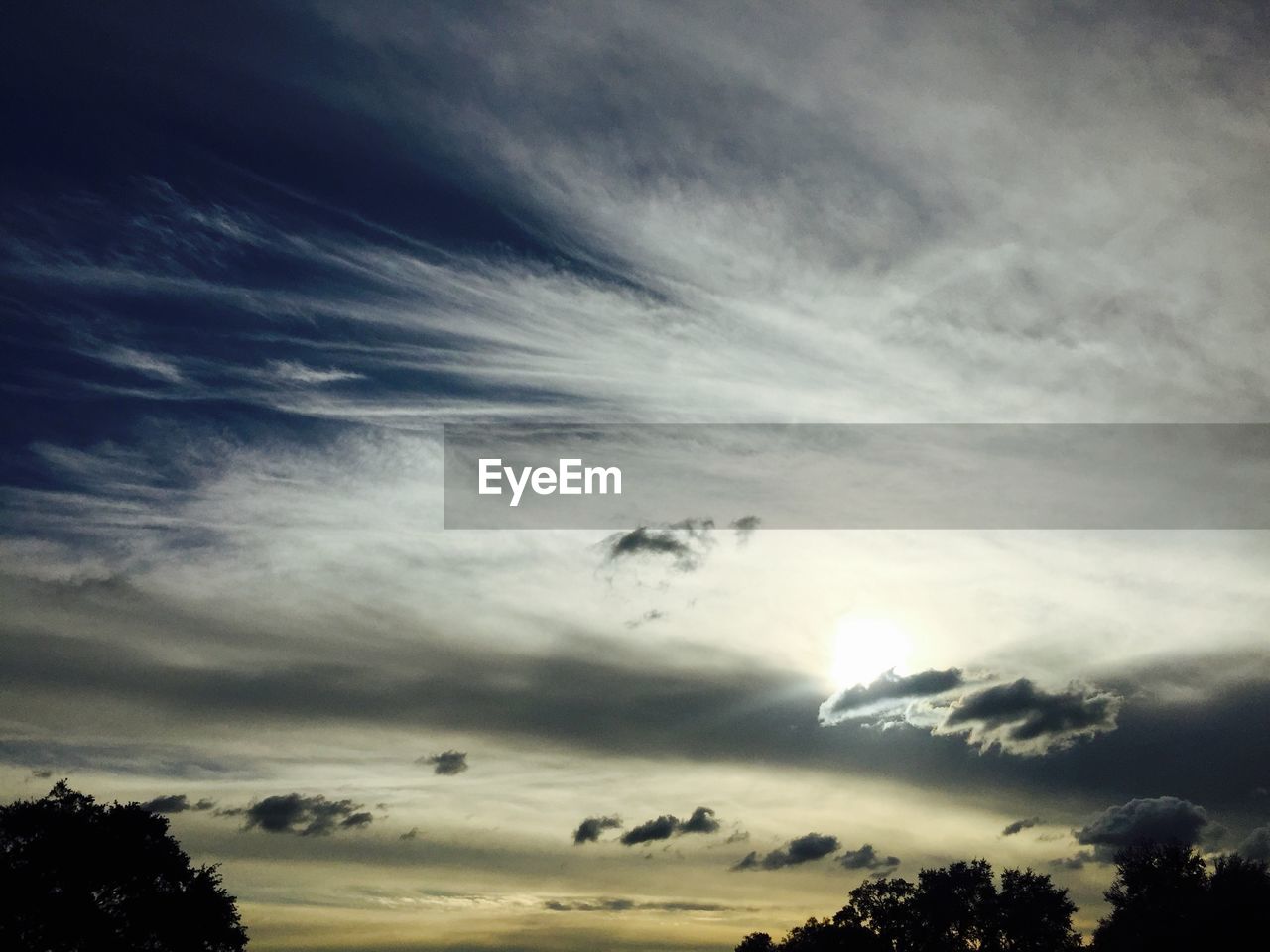 LOW ANGLE VIEW OF TREES AGAINST CLOUDY SKY