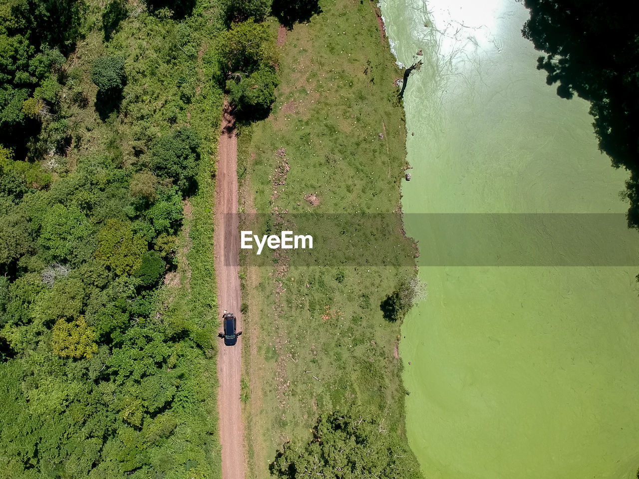 HIGH ANGLE VIEW OF PLANTS ON LAND