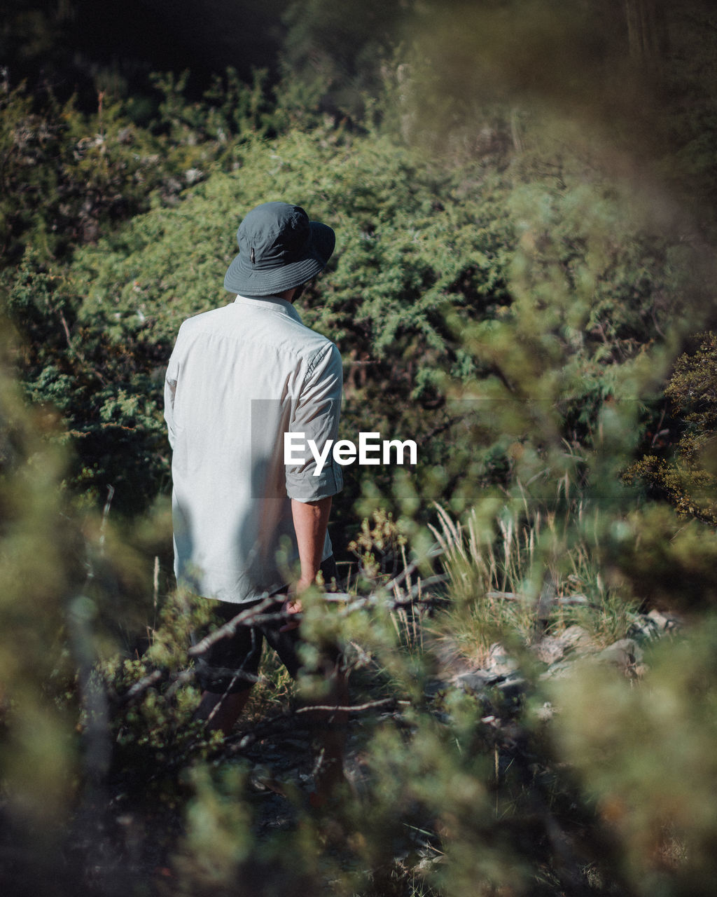 REAR VIEW OF MAN STANDING ON FIELD IN FOREST