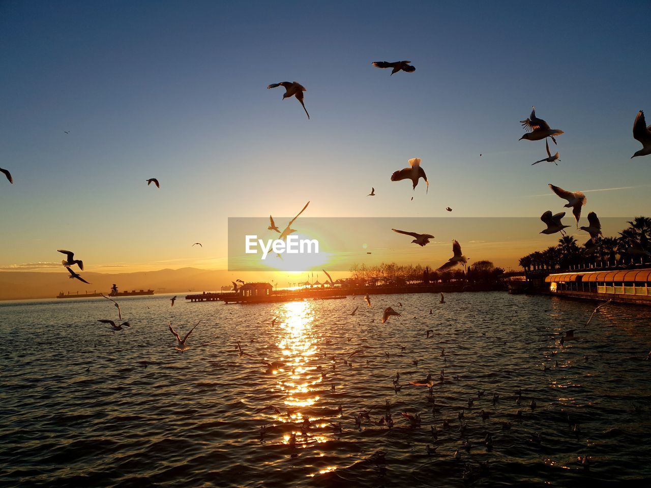 SILHOUETTE BIRDS FLYING OVER SEA DURING SUNSET