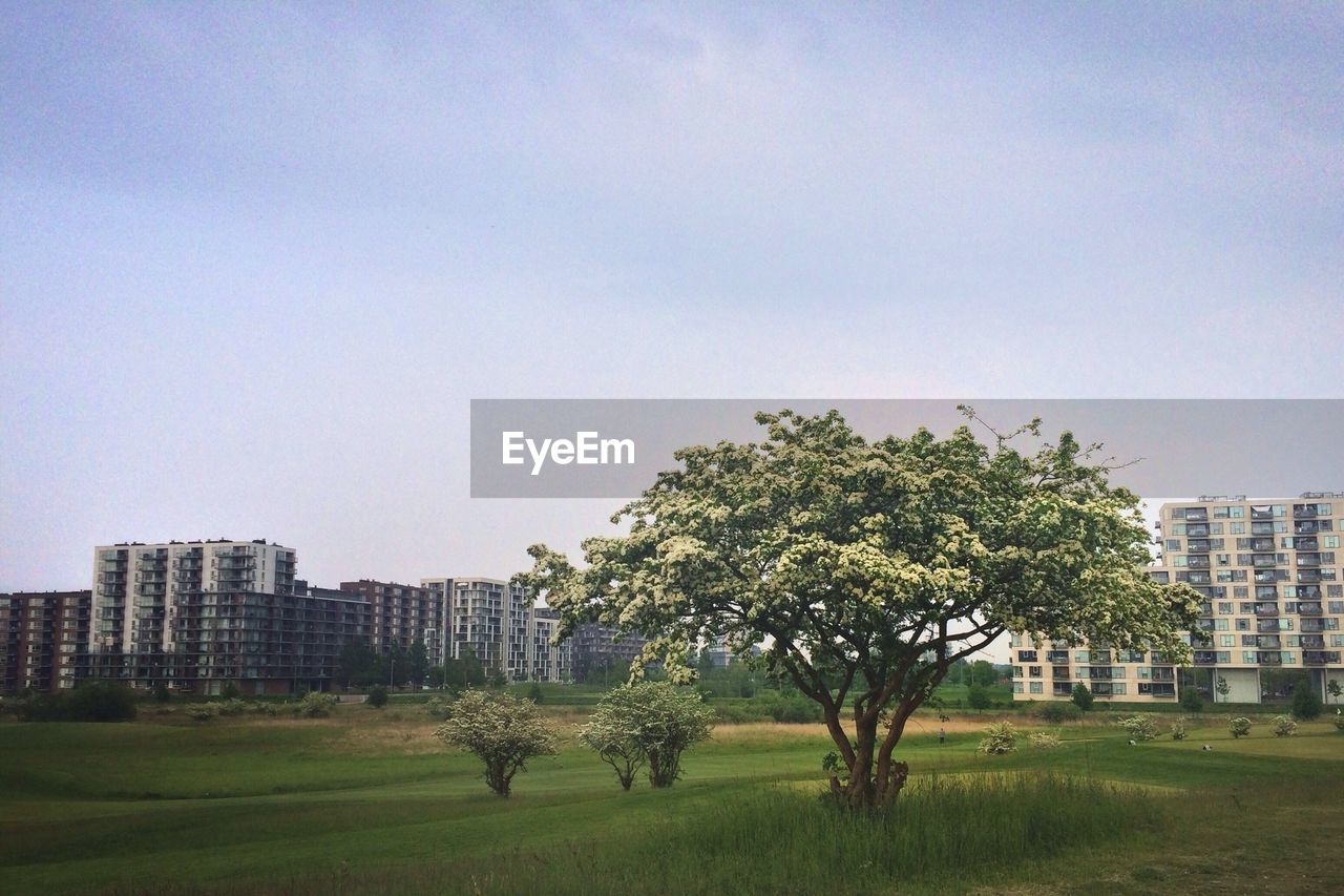 View of park with buildings against sky