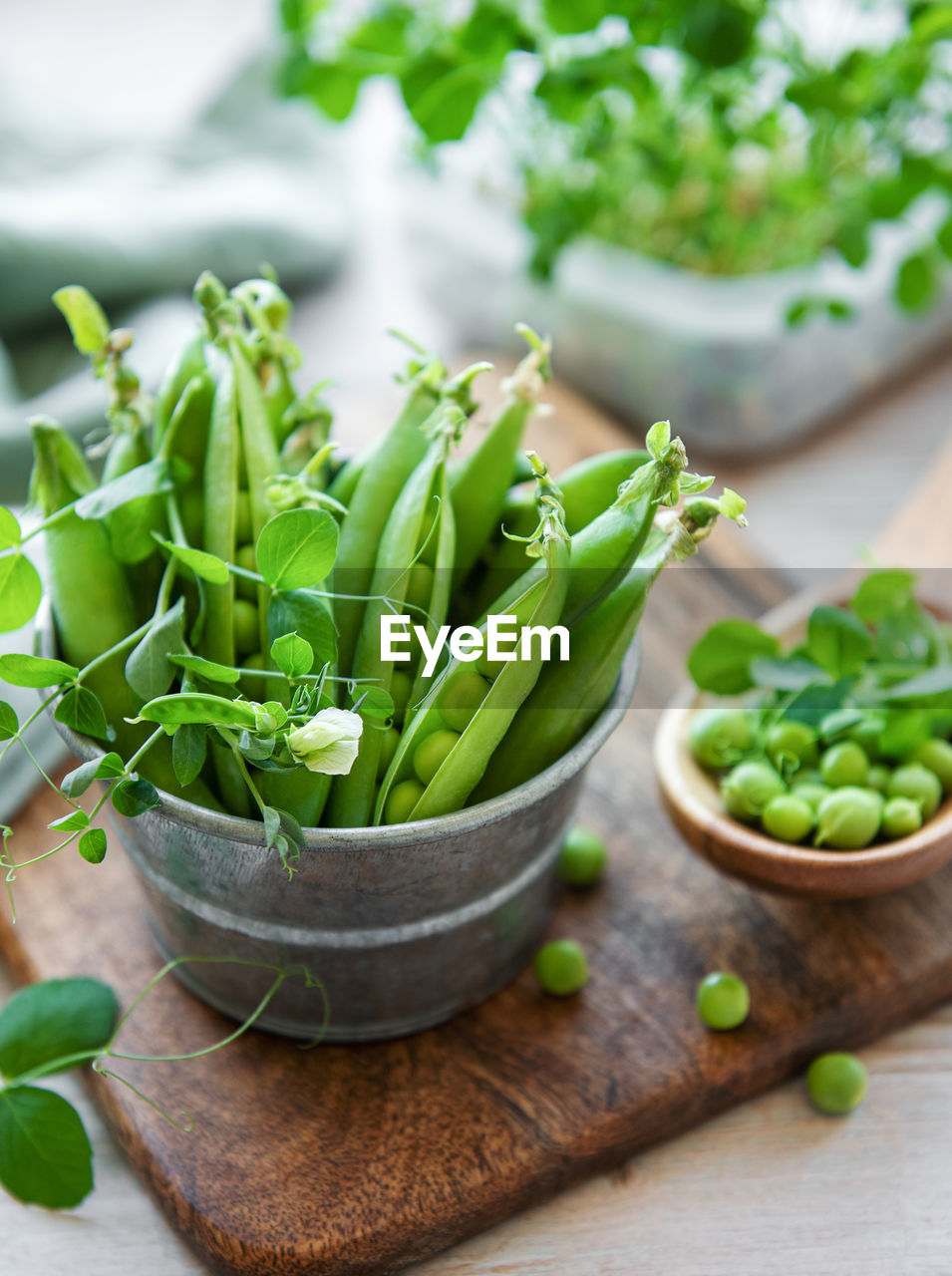 food, food and drink, healthy eating, vegetable, wellbeing, freshness, herb, plant, green, produce, studio shot, wood, no people, cutting board, indoors, spice, dish, leaf, plant part, bowl, ingredient, salad, organic, raw food, nature, focus on foreground