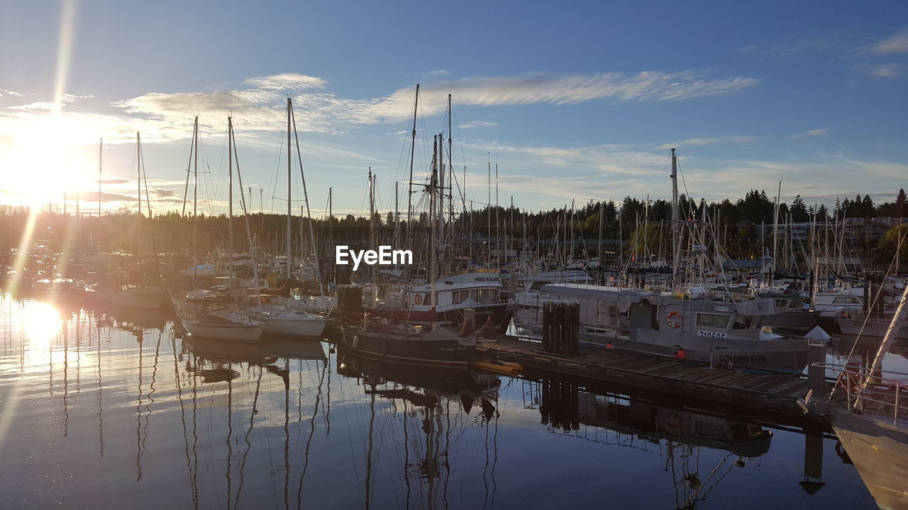 Sailboats moored at harbor during sunset