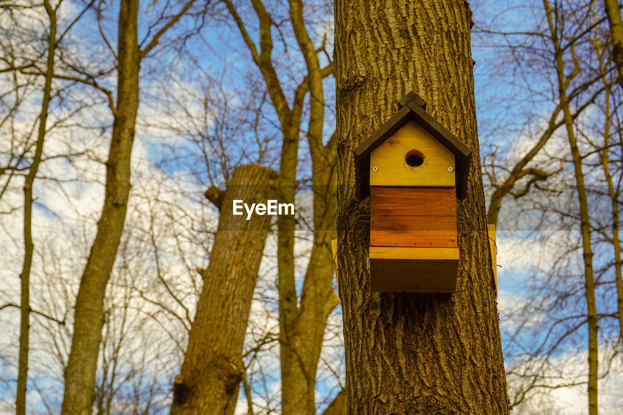 LOW ANGLE VIEW OF BIRDHOUSE IN FOREST