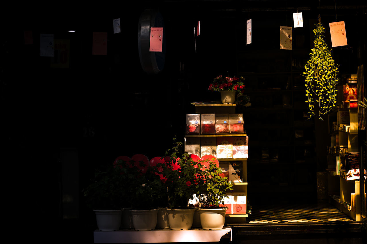 FLOWERS AT NIGHT