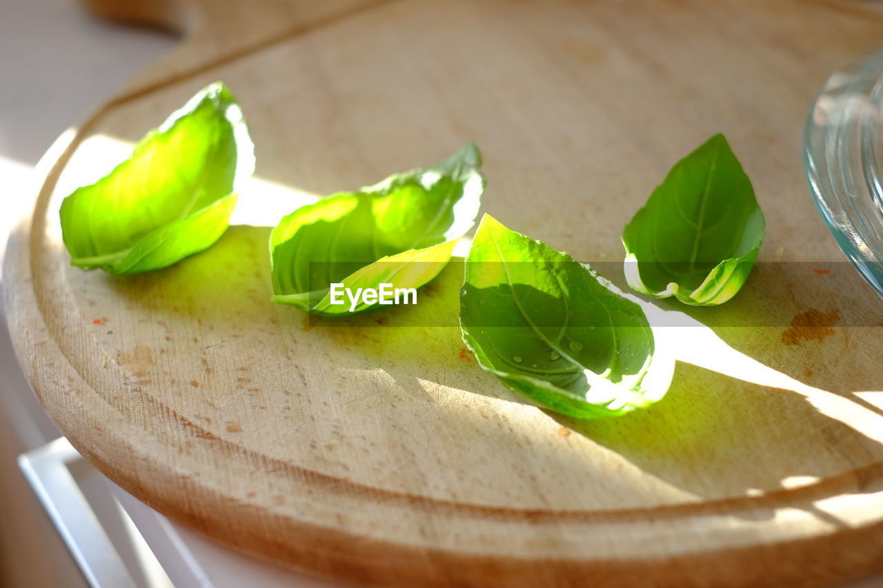 HIGH ANGLE VIEW OF FRESH GREEN LEAVES ON TABLE