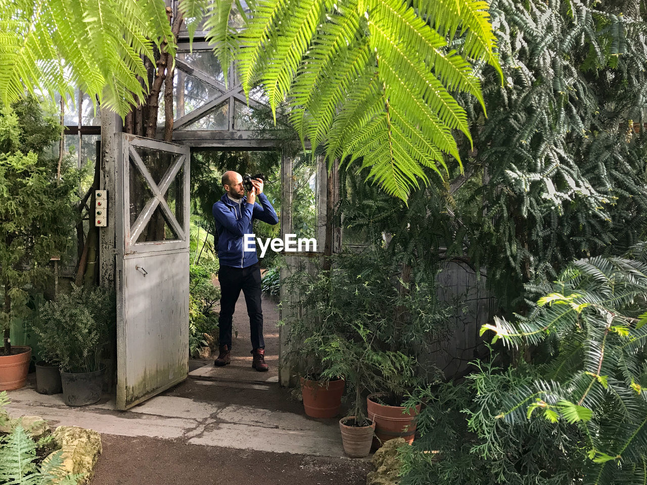 Full length of man photographing while standing by door against plants