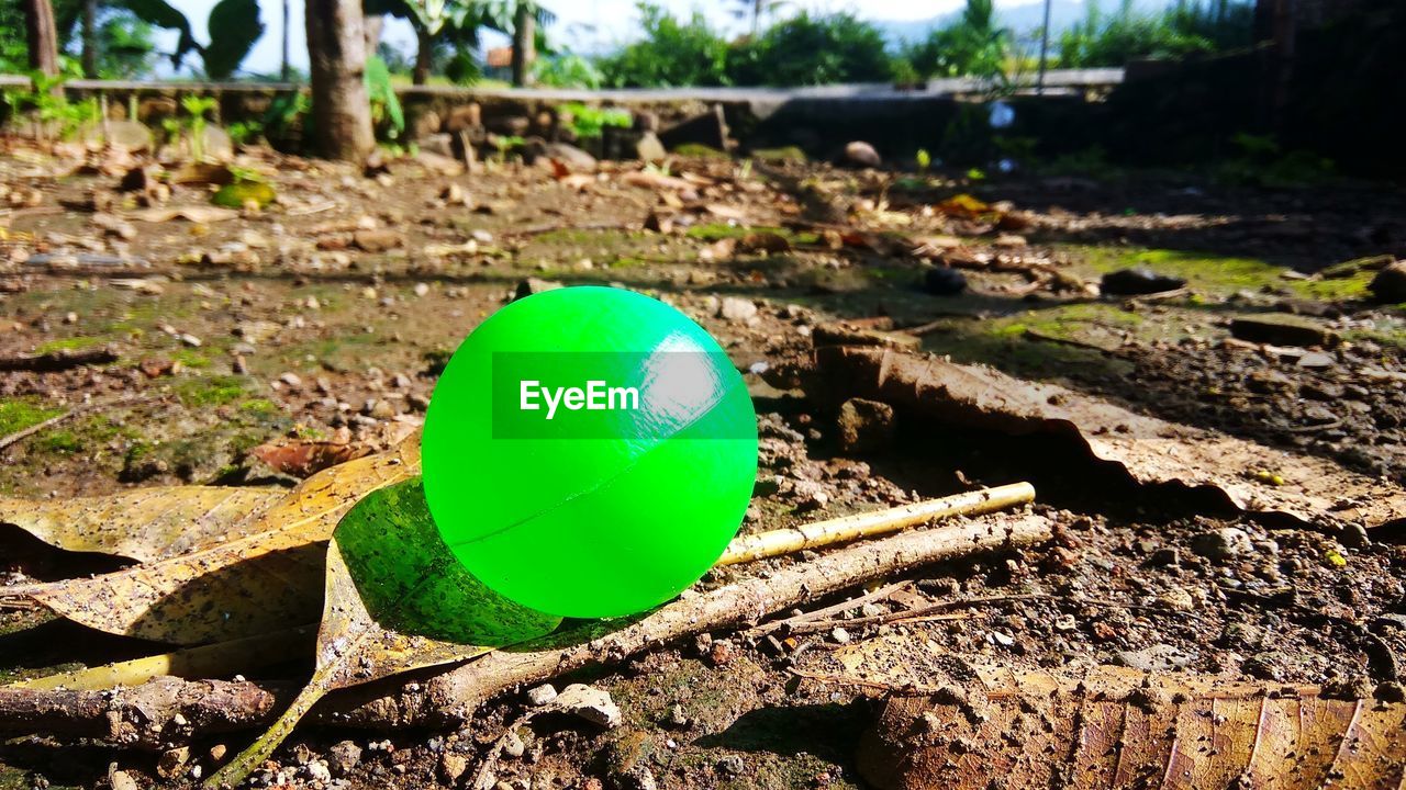 High angle view of green ball on field