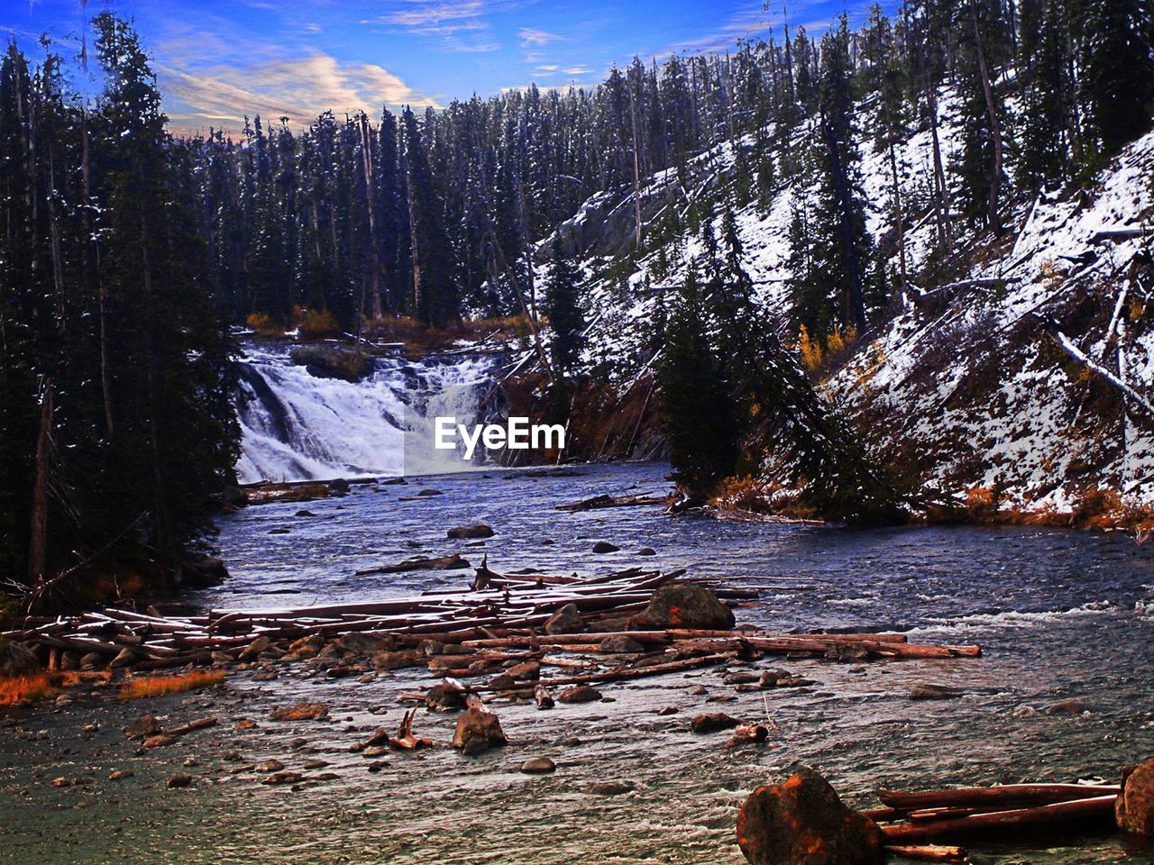 SCENIC VIEW OF RIVER FLOWING AMIDST TREES IN FOREST