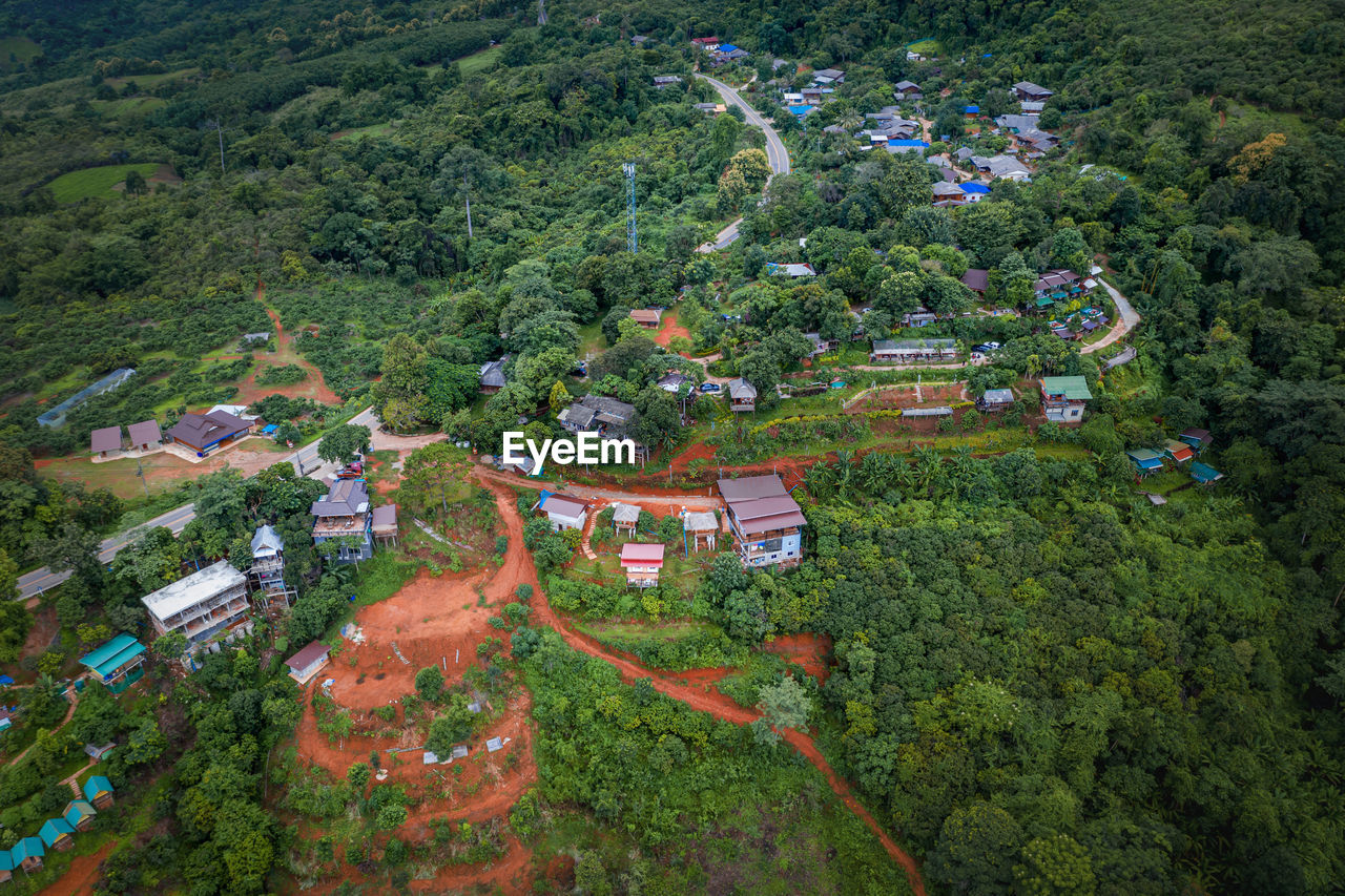 HIGH ANGLE VIEW OF TREES AND PLANTS GROWING OUTSIDE HOUSE