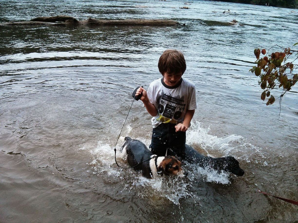 High angle view of boy with dogs in lake