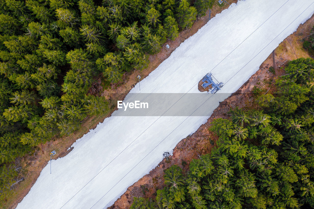 HIGH ANGLE VIEW OF ROAD AND TREES