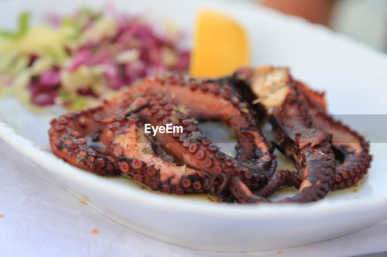 Close-up of served food in plate