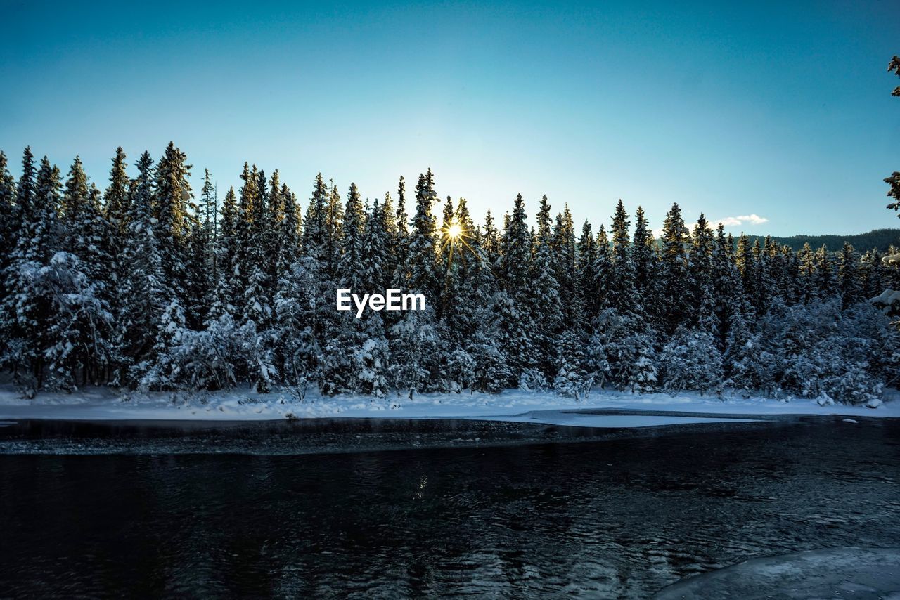 Scenic view of lake in forest against clear sky