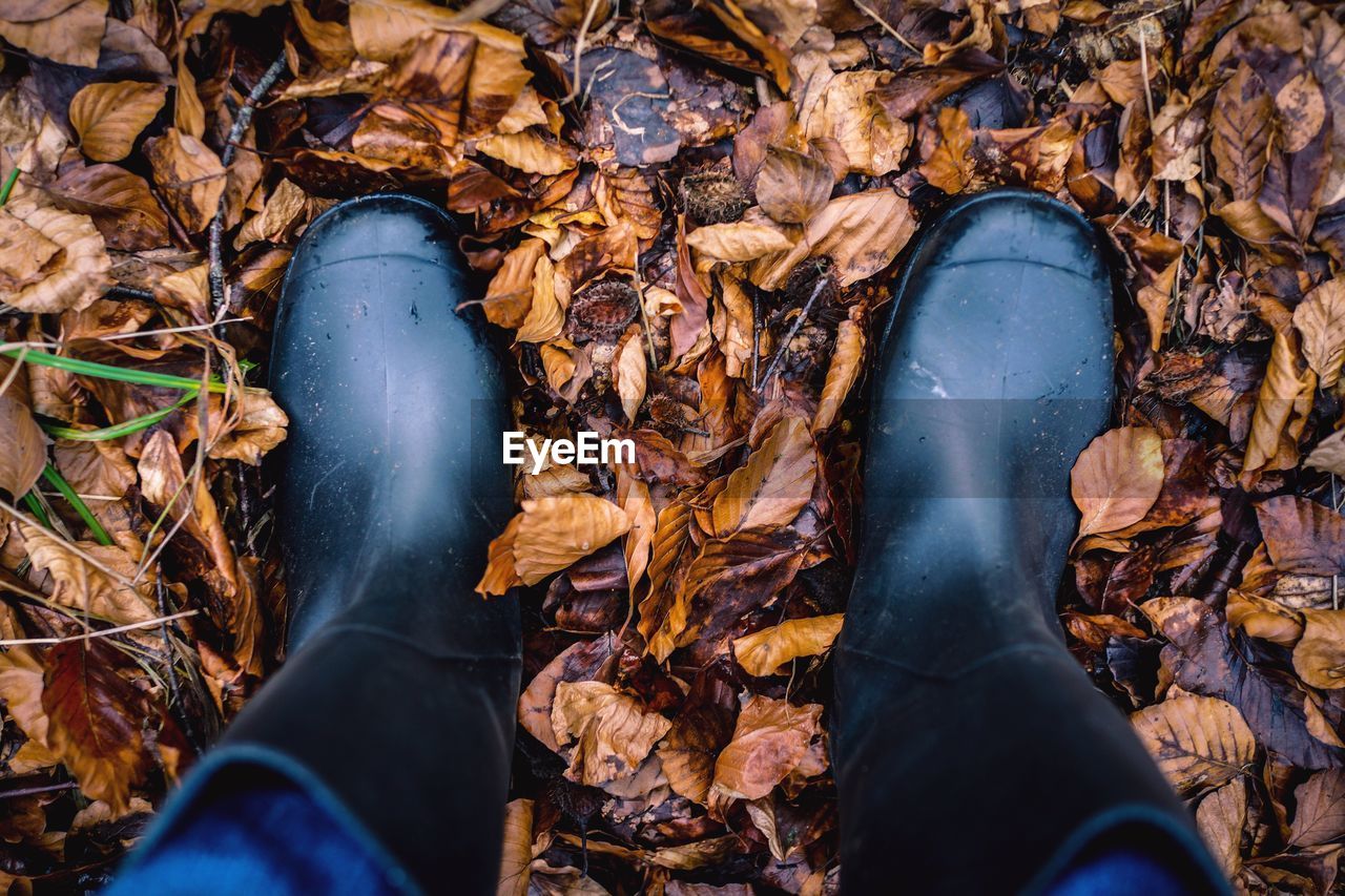 LOW SECTION OF MAN STANDING IN AUTUMN LEAVES