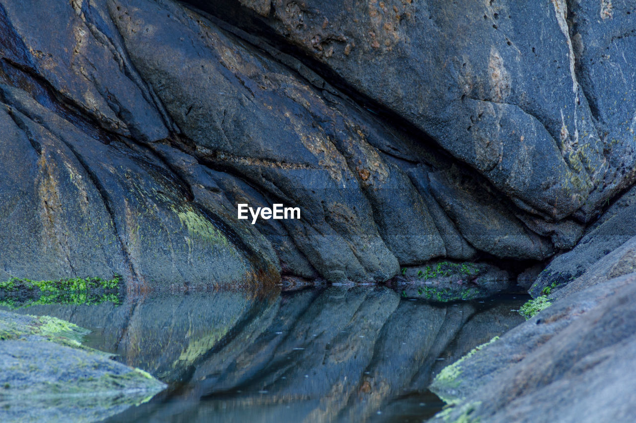 CLOSE-UP OF CROCODILE ON ROCK