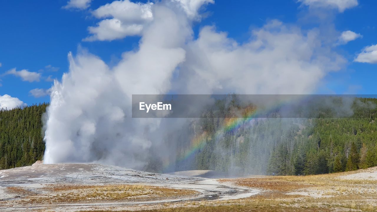 PANORAMIC SHOT OF TREES ON LANDSCAPE AGAINST RAINBOW