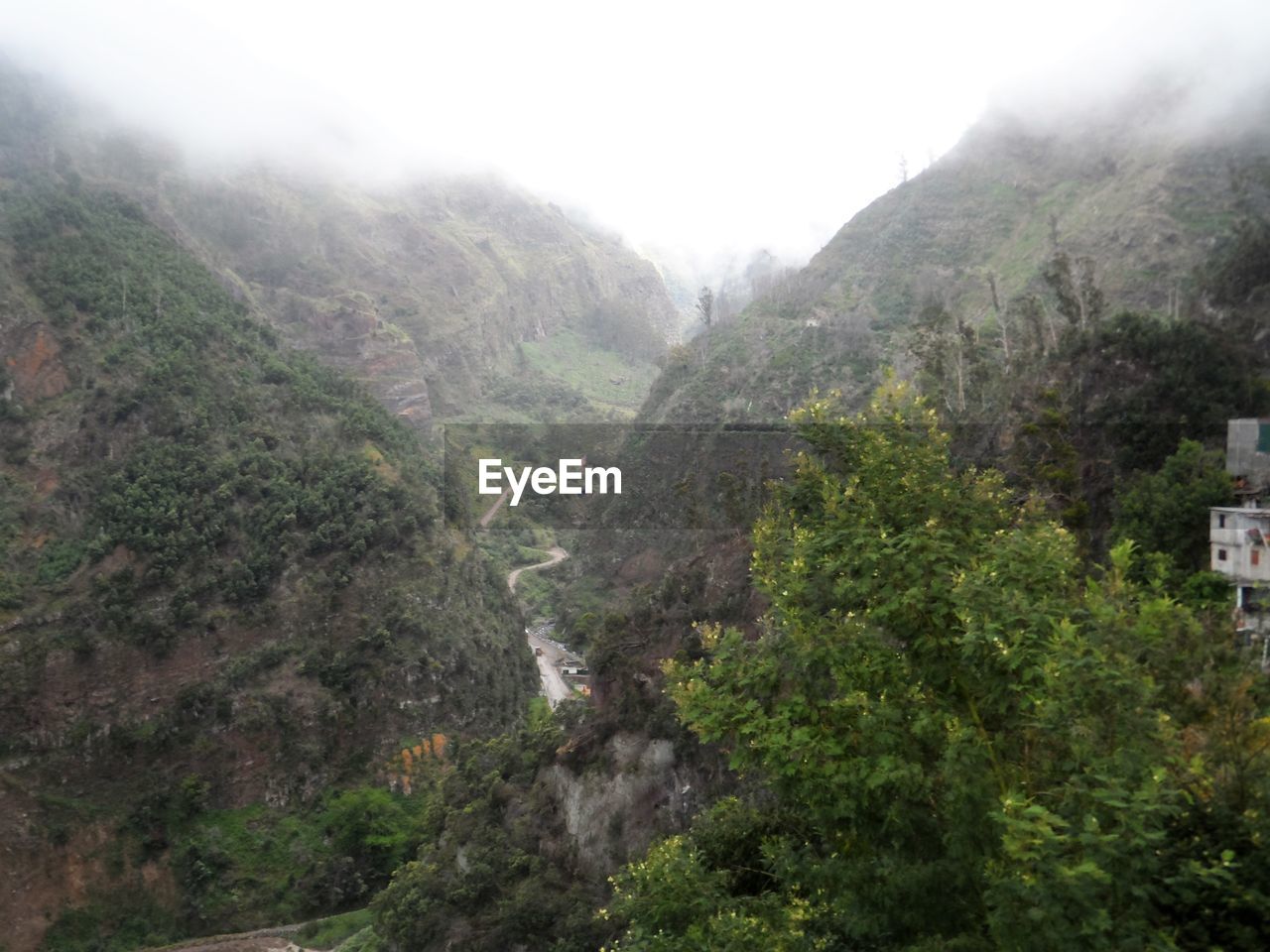 SCENIC VIEW OF TREES AND MOUNTAINS AGAINST SKY