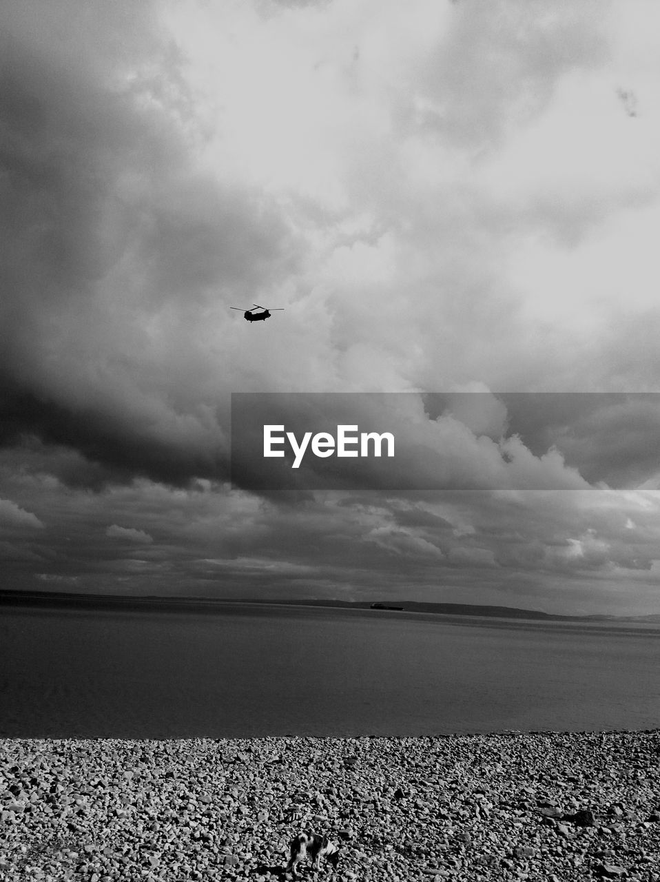 BIRDS FLYING OVER BEACH AGAINST SKY