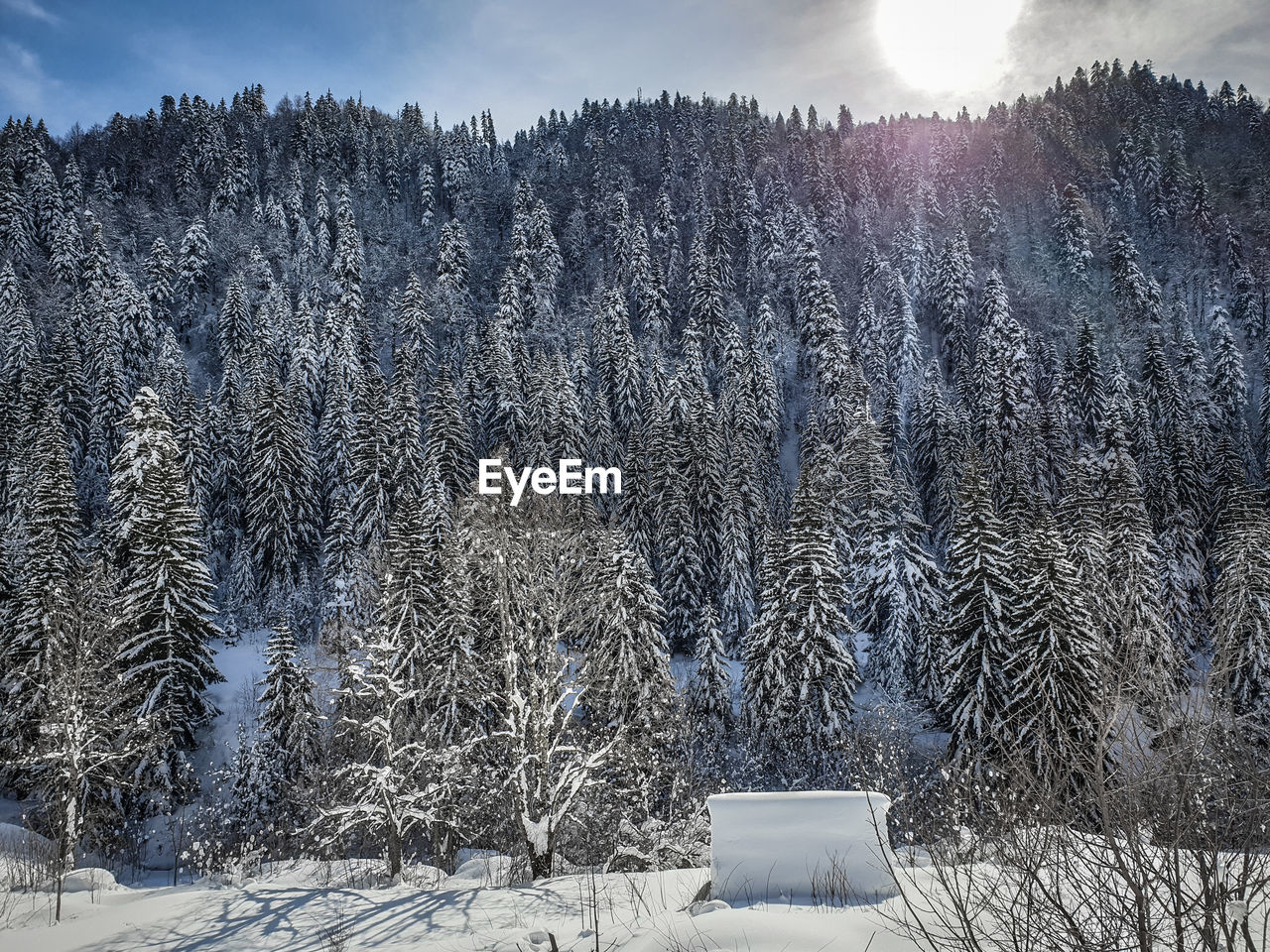 SCENIC VIEW OF SNOW COVERED LAND