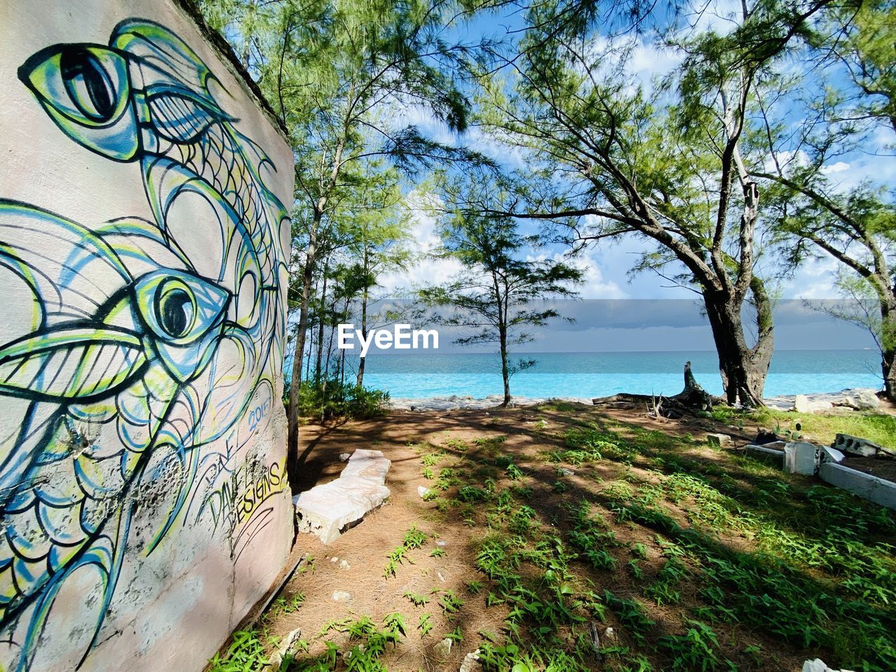 PLANTS BY SEA AGAINST SKY