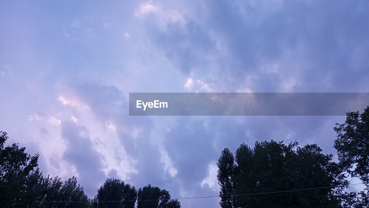 LOW ANGLE VIEW OF SILHOUETTE TREES AGAINST SKY