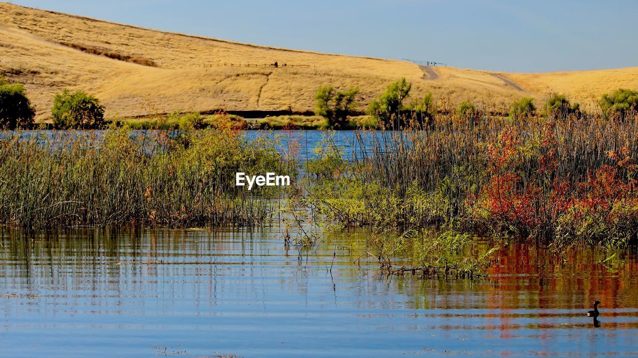 Scenic view of lake against clear sky