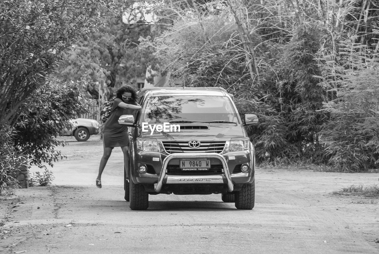 CAR ON ROAD BY TREES