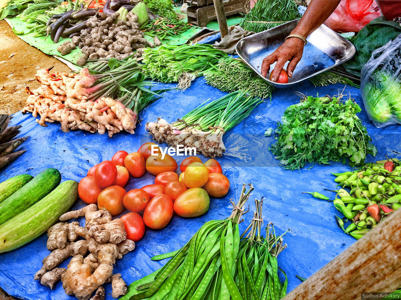 livelihood. Colorful Colors Colours Green Life Poor  Seller Selling Tomato Vegetable Vegetables Vegetarian Food