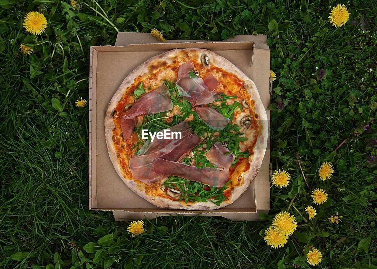 Directly above shot of pizza on grass