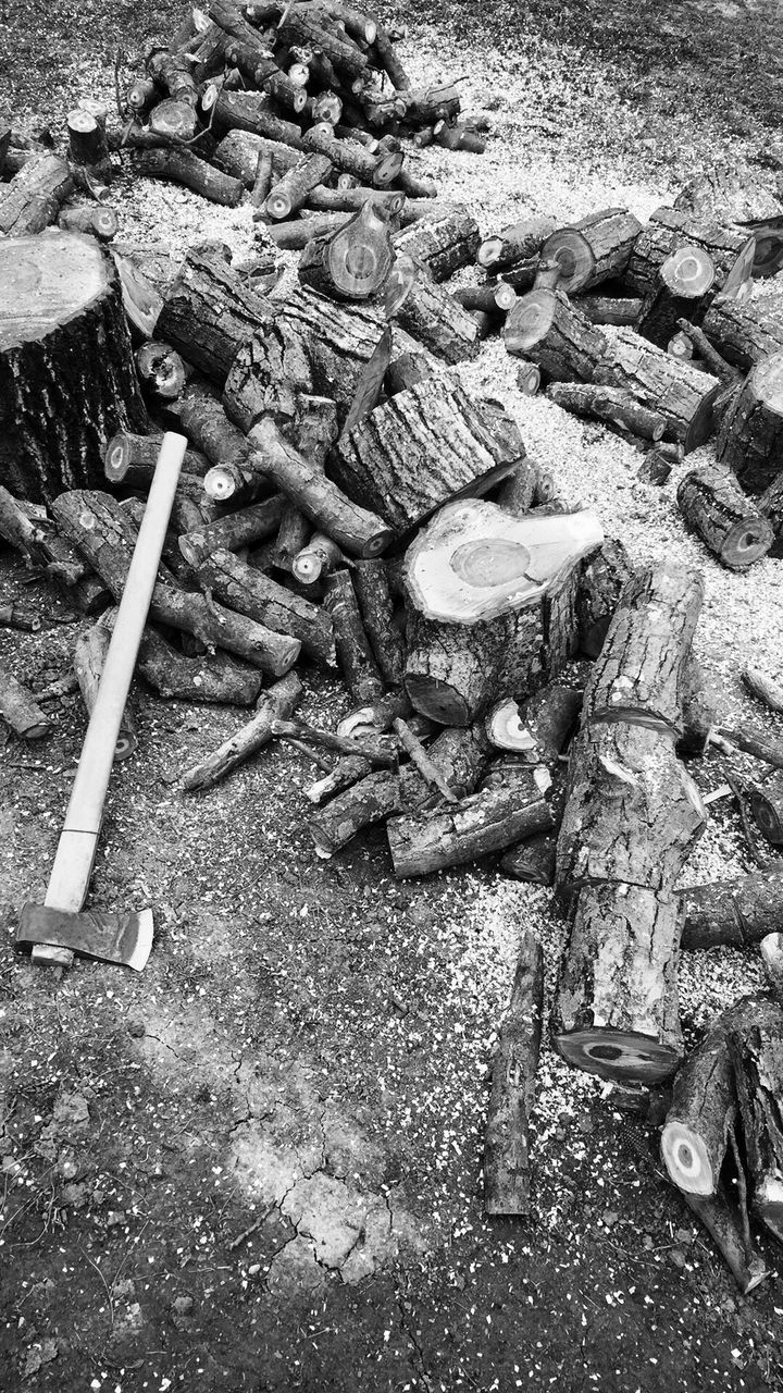 High angle view of logs on field