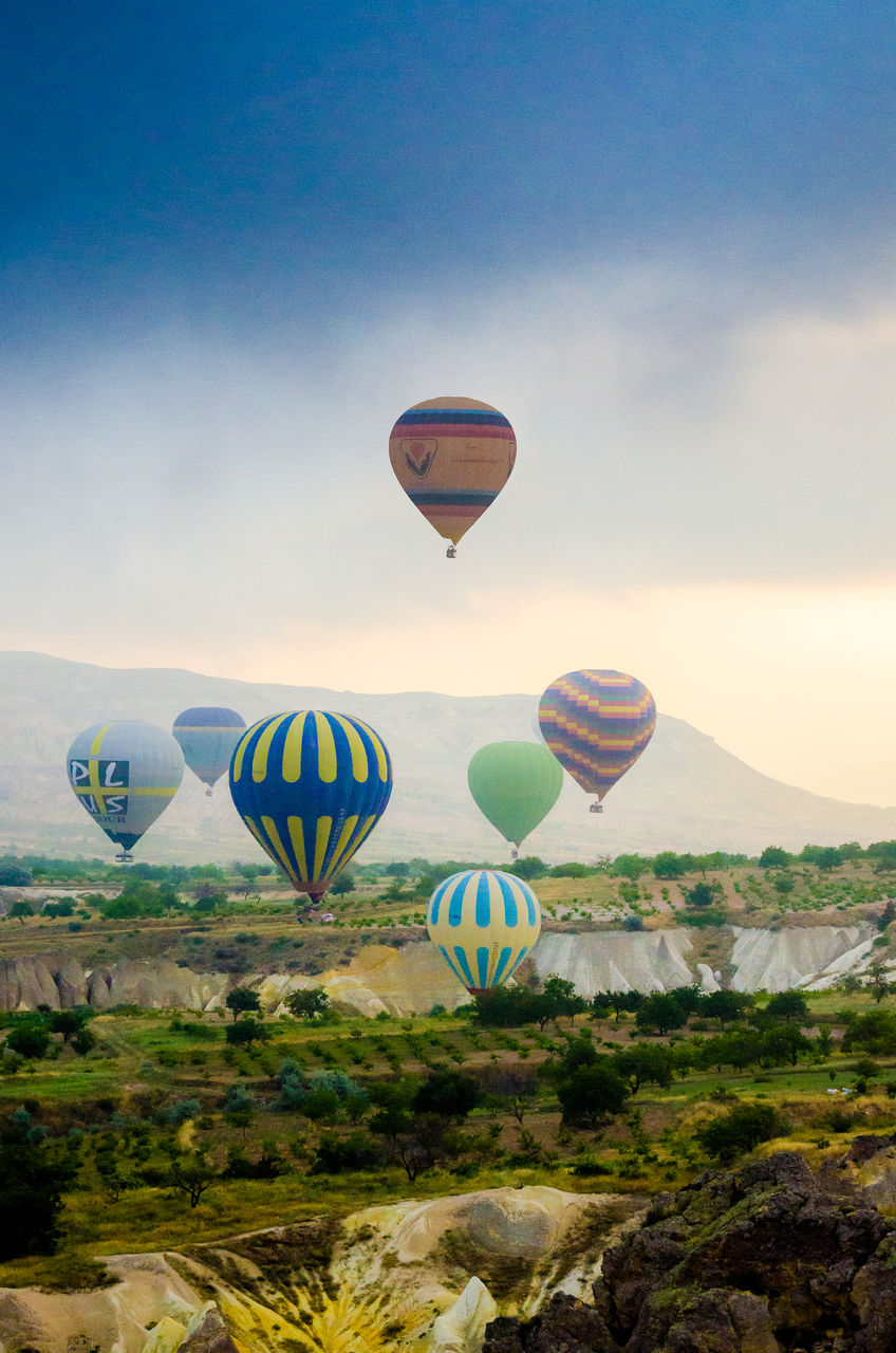 Hot air balloons flying in sky