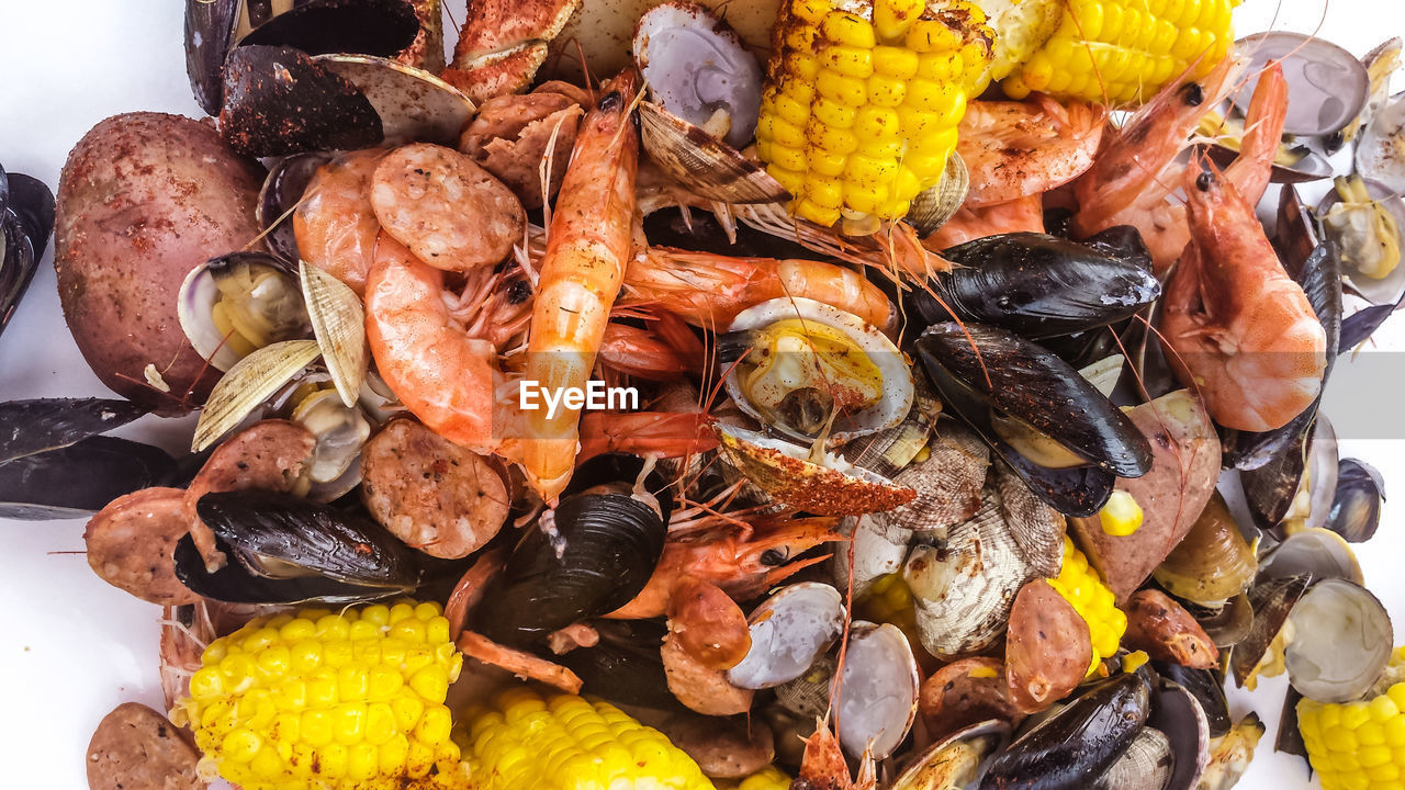 High angle view of seafood served in plate